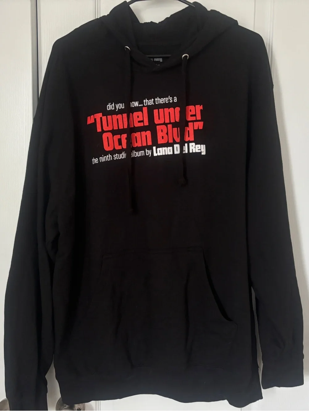 Lana Del Rey Tunnel Hoodie - Large - Picture 1 of 6
